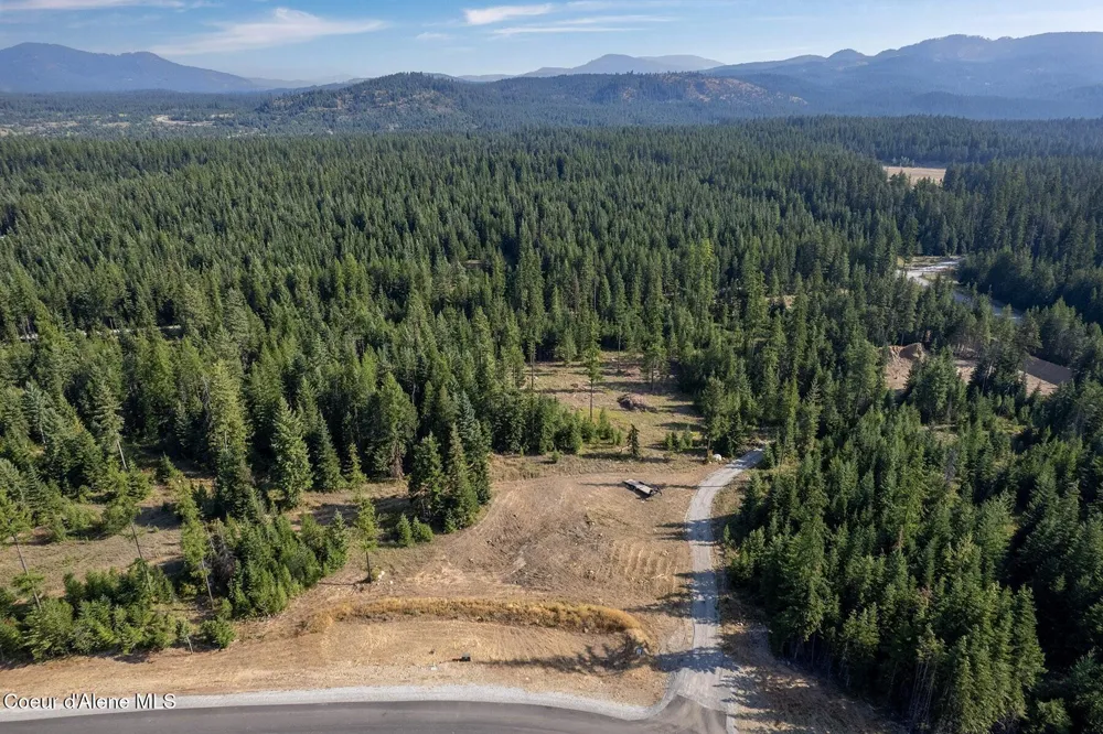 DB Lot 11 Blk 1 Leonard Loop Athol, ID 83801
