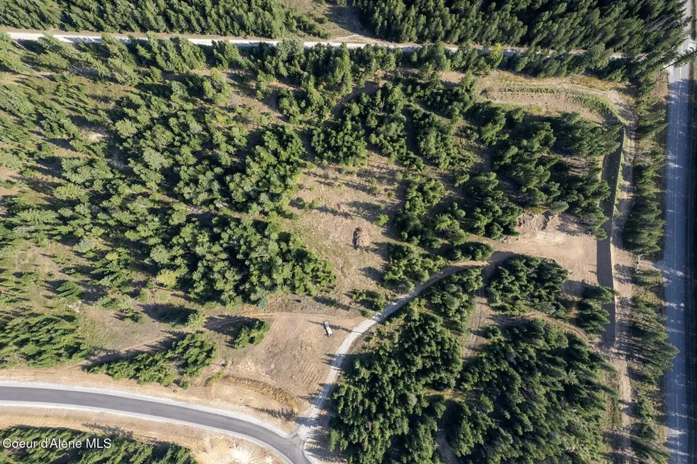 DB Lot 11 Blk 1 Leonard Loop Athol, ID 83801