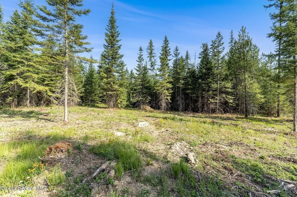DB Lot 11 Blk 1 Leonard Loop Athol, ID 83801