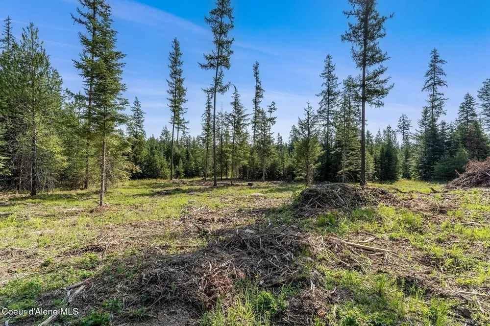 DB Lot 11 Blk 1 Leonard Loop Athol, ID 83801