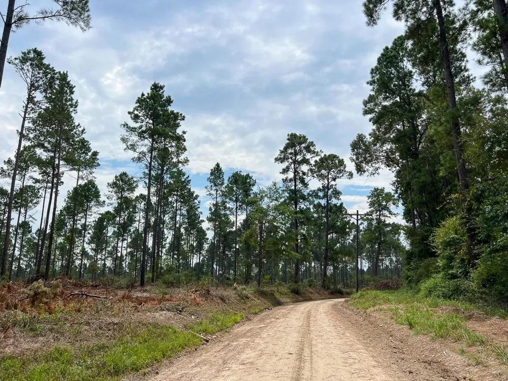 33 Boontown Road Groveton, TX 75845