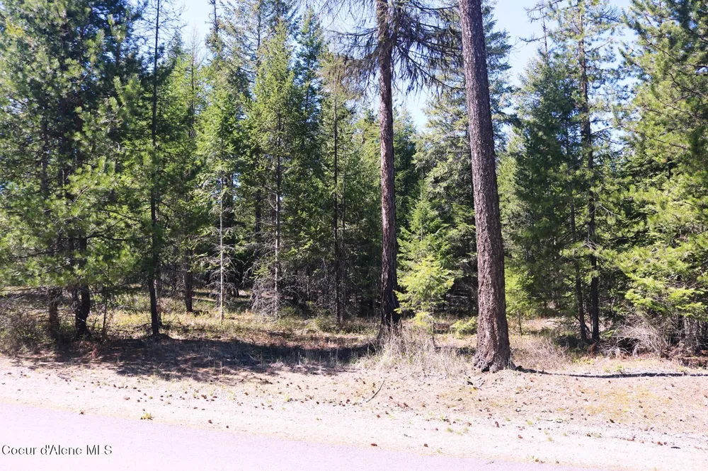 NNA Christensen Avenue Priest River, ID 83856