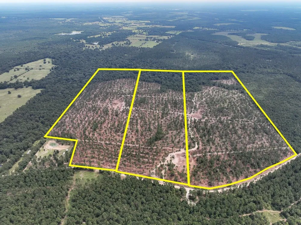 31 Boontown Road Groveton, TX 75845