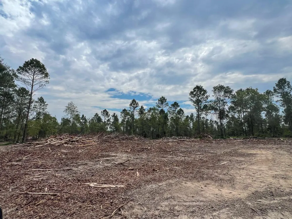 31 Boontown Road Groveton, TX 75845