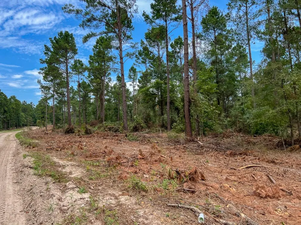 31 Boontown Road Groveton, TX 75845