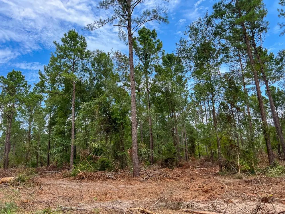 32 Boontown Road Groveton, TX 75845