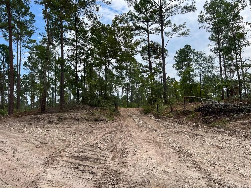 32 Boontown Road Groveton, TX 75845