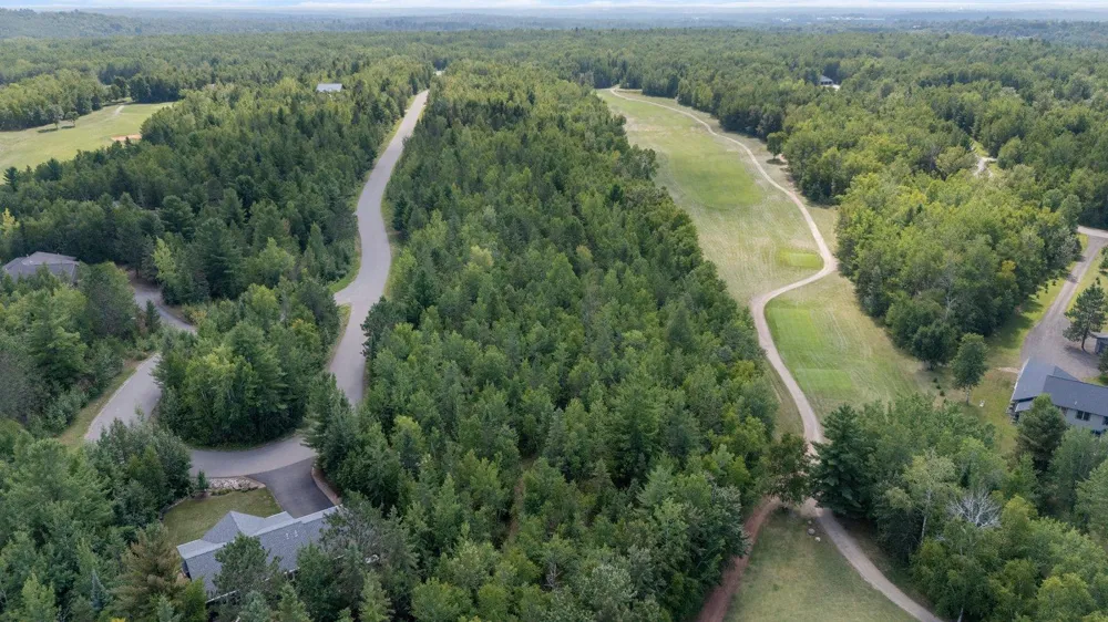 TBD Lots 13 & 14 B2 Pine Tree Lane Coleraine, MN 55722