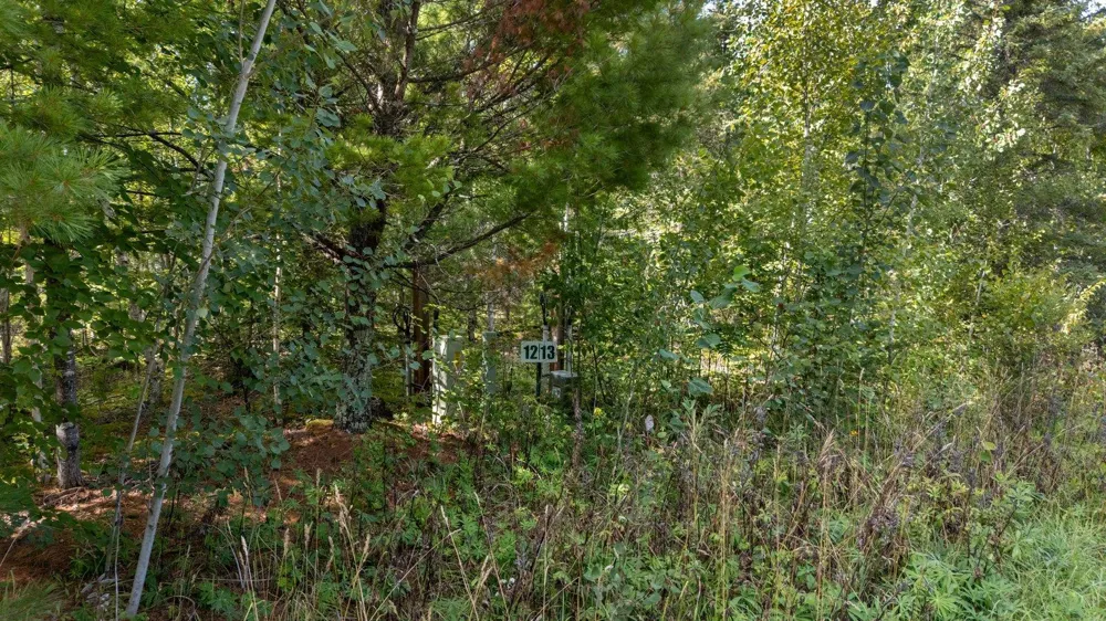 TBD Lots 13 & 14 B2 Pine Tree Lane Coleraine, MN 55722
