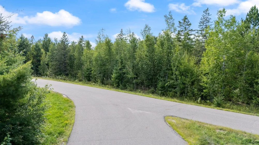 TBD Lots 13 & 14 B2 Pine Tree Lane Coleraine, MN 55722