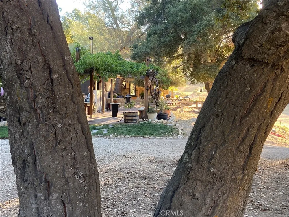 63123 Lockwood San Lucas Road Lockwood, CA 93932