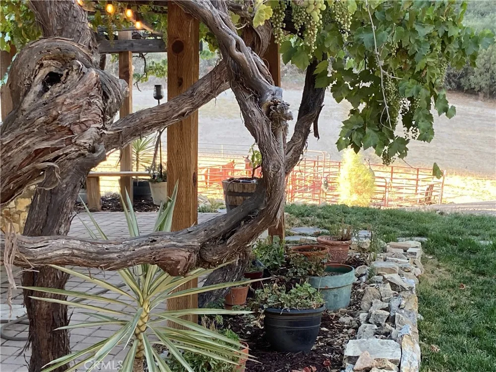 63123 Lockwood San Lucas Road Lockwood, CA 93932