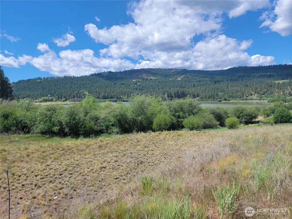 0 Curlew Drive Republic, WA 99166