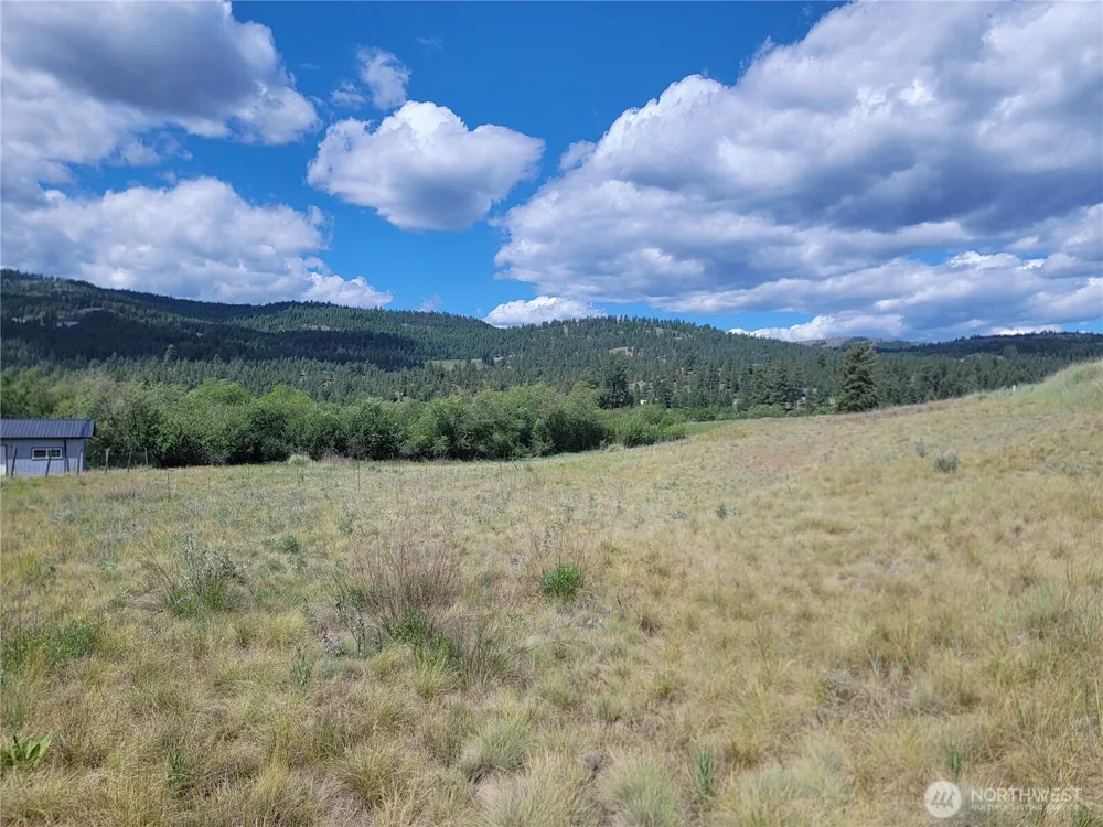 0 Curlew Drive Republic, WA 99166