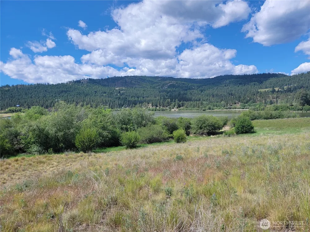 0 Curlew Drive Republic, WA 99166