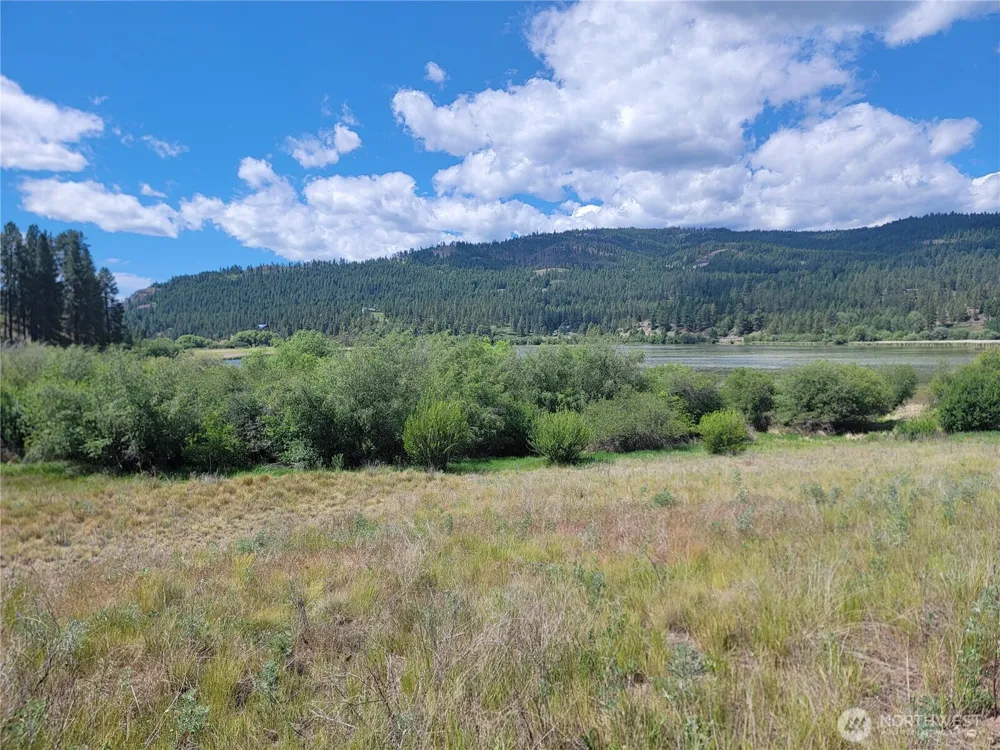 0 Curlew Drive Republic, WA 99166