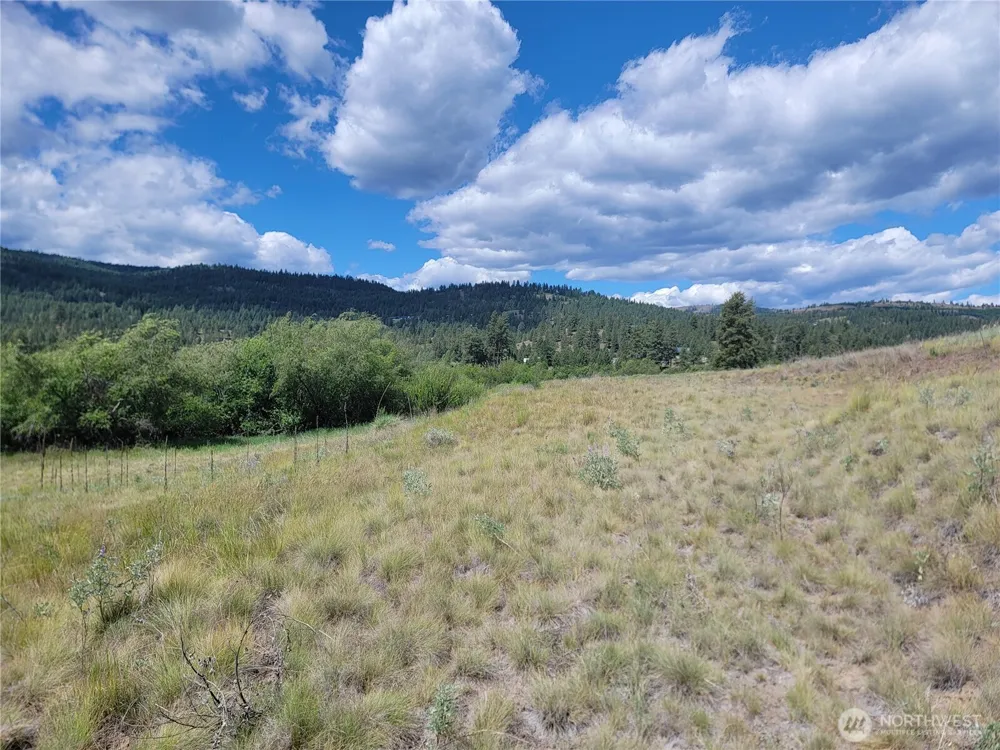 0 Curlew Drive Republic, WA 99166
