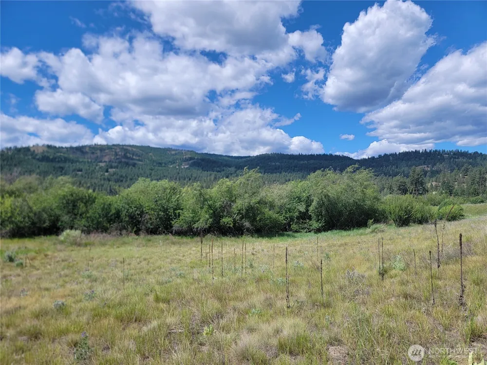 0 Curlew Drive Republic, WA 99166
