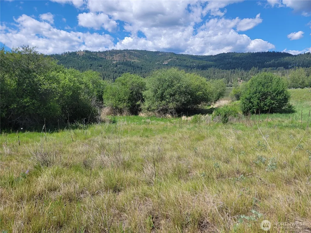 0 Curlew Drive Republic, WA 99166
