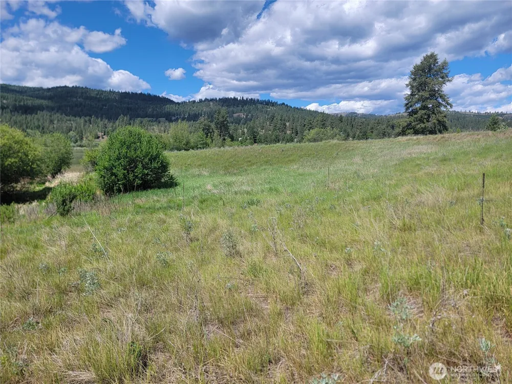 0 Curlew Drive Republic, WA 99166