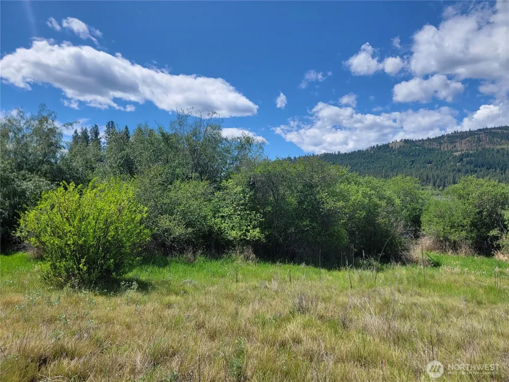 0 Curlew Drive Republic, WA 99166