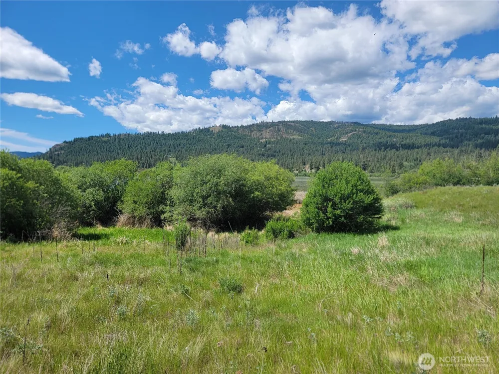 0 Curlew Drive Republic, WA 99166