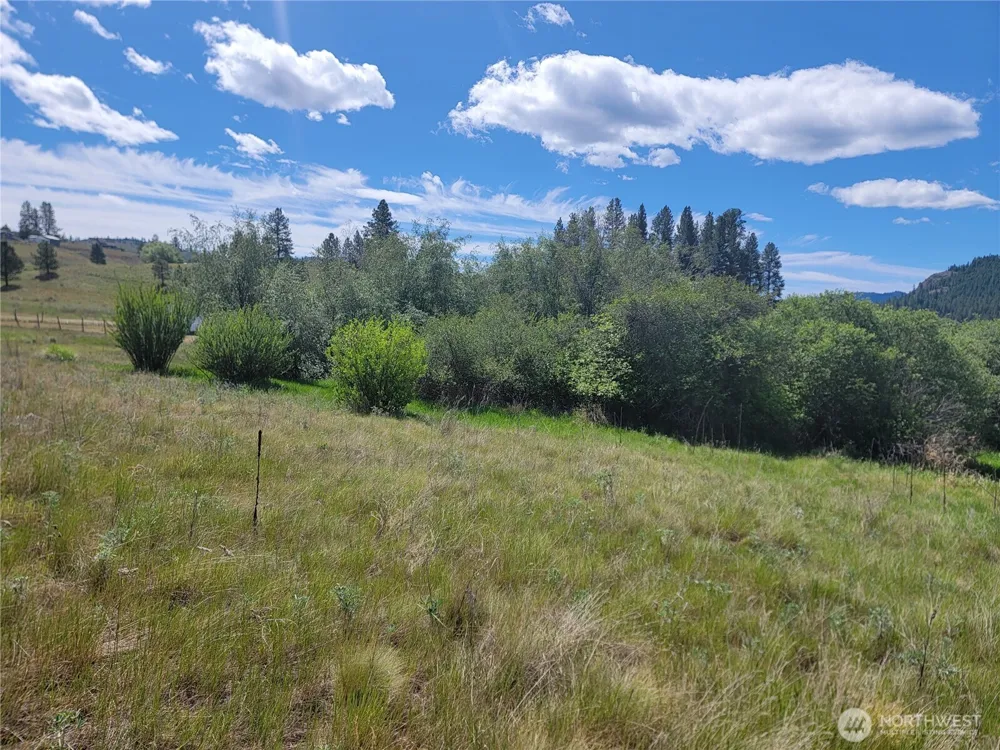 0 Curlew Drive Republic, WA 99166