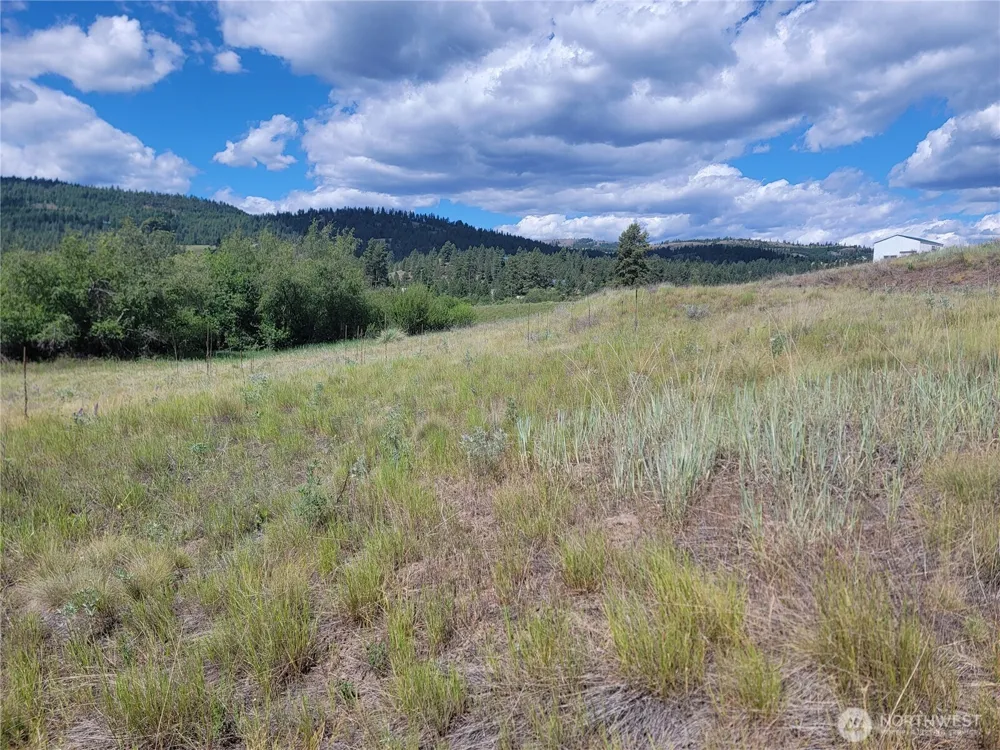 0 Curlew Drive Republic, WA 99166