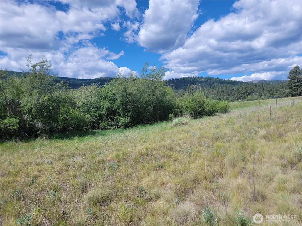 0 Curlew Drive Republic, WA 99166