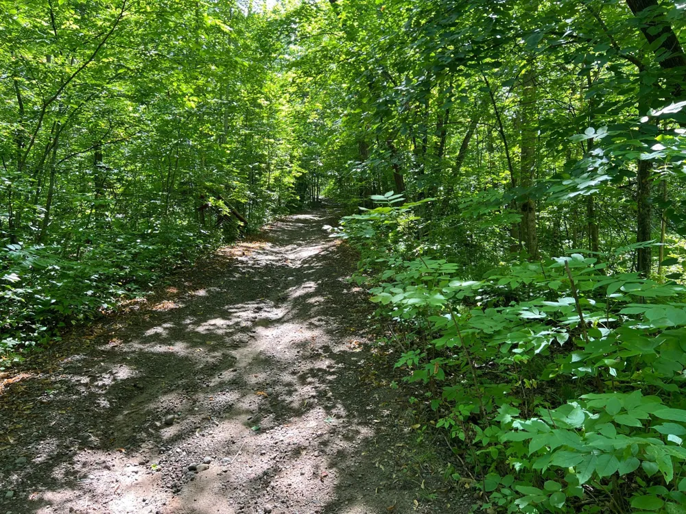 00000 River Island Road Pine City, MN 55063
