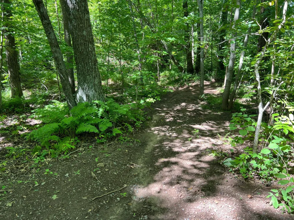 00000 River Island Road Pine City, MN 55063