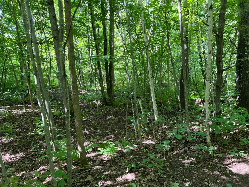 00000 River Island Road Pine City, MN 55063