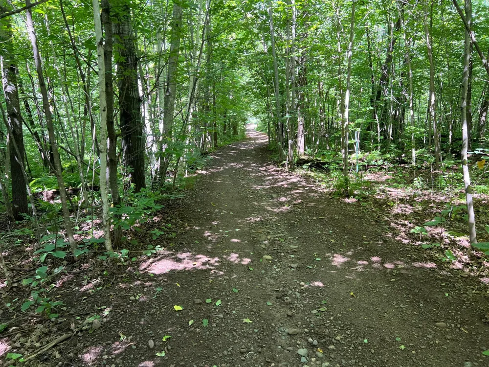 00000 River Island Road Pine City, MN 55063