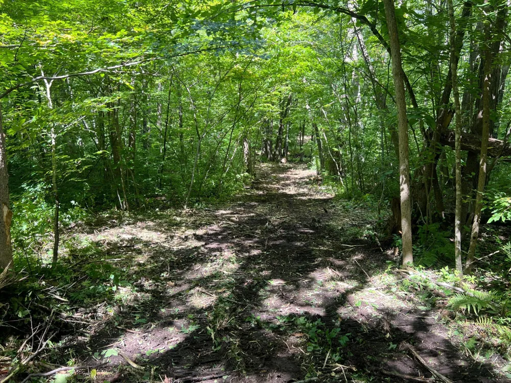 00000 River Island Road Pine City, MN 55063
