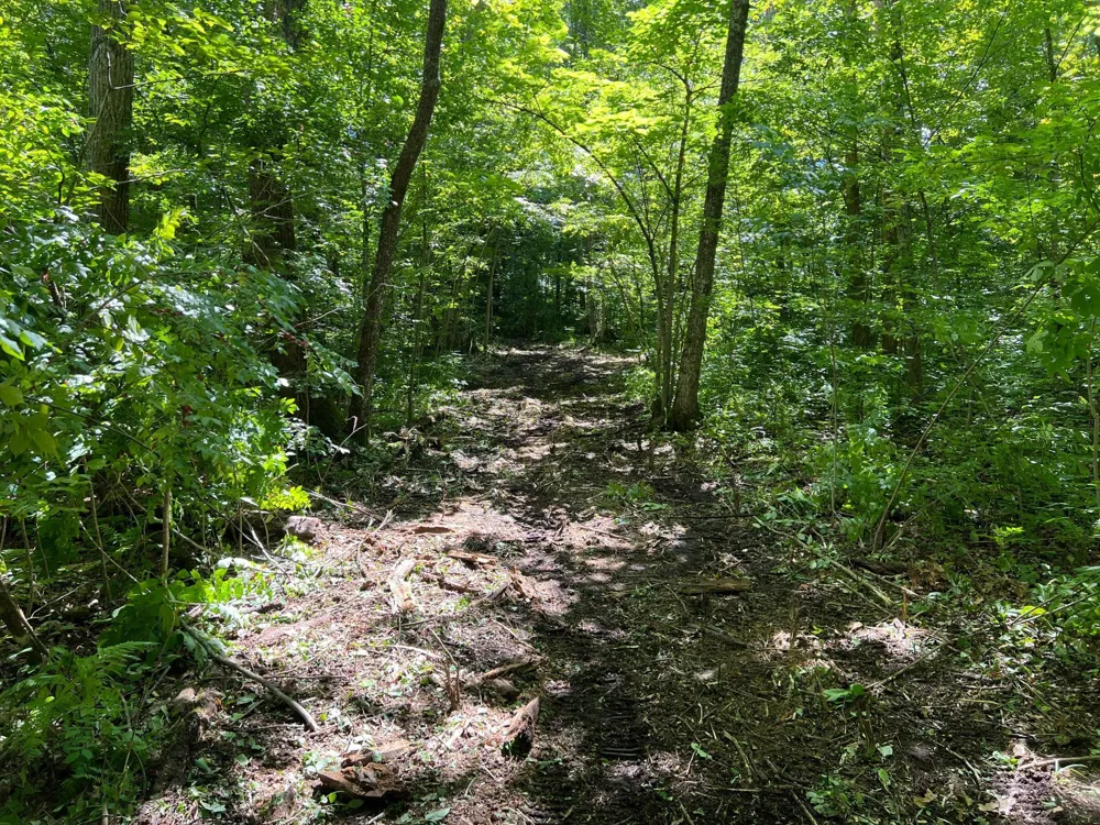 00000 River Island Road Pine City, MN 55063