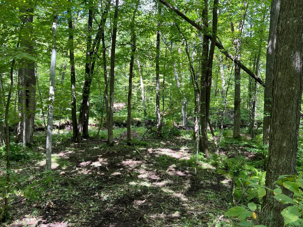 00000 River Island Road Pine City, MN 55063