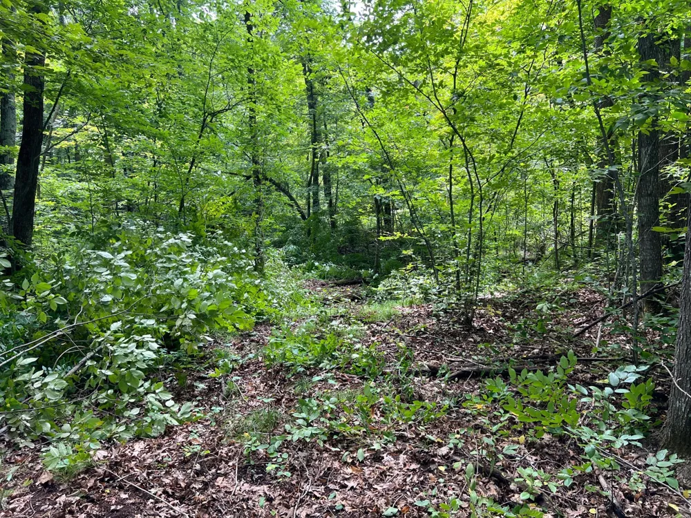 00000 River Island Road Pine City, MN 55063