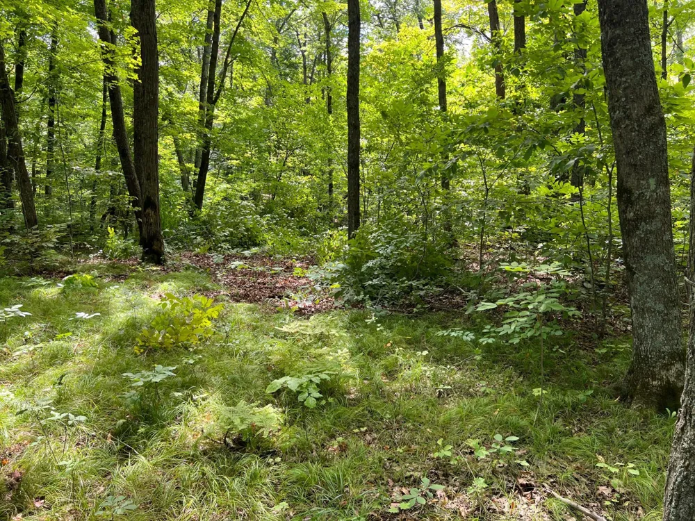 00000 River Island Road Pine City, MN 55063