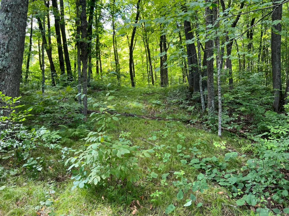00000 River Island Road Pine City, MN 55063