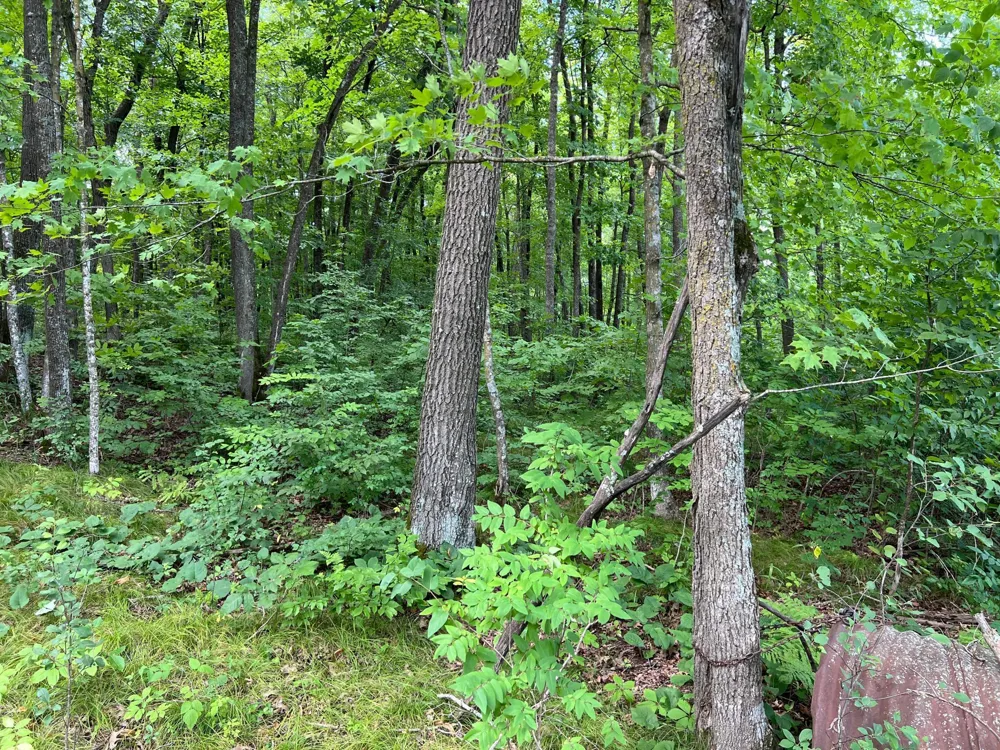 00000 River Island Road Pine City, MN 55063