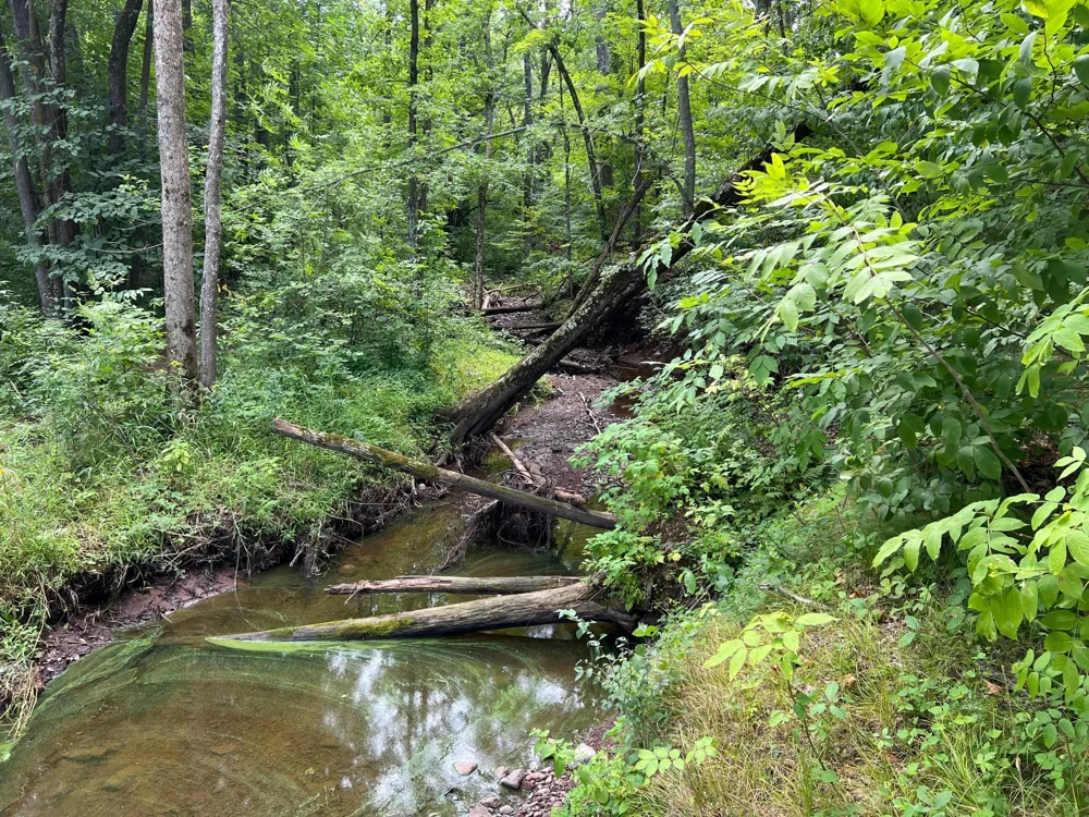 00000 River Island Road Pine City, MN 55063