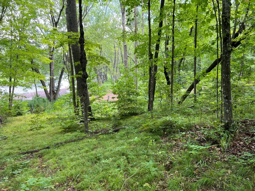 00000 River Island Road Pine City, MN 55063