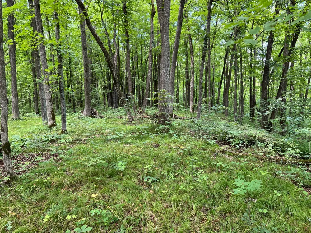 00000 River Island Road Pine City, MN 55063