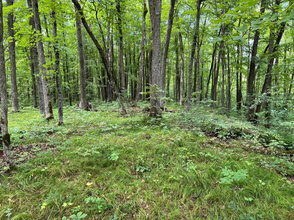 00000 River Island Road Pine City, MN 55063