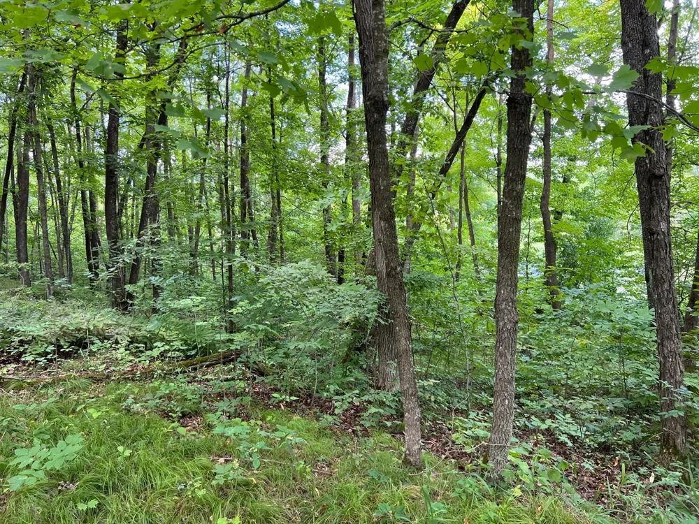 00000 River Island Road Pine City, MN 55063