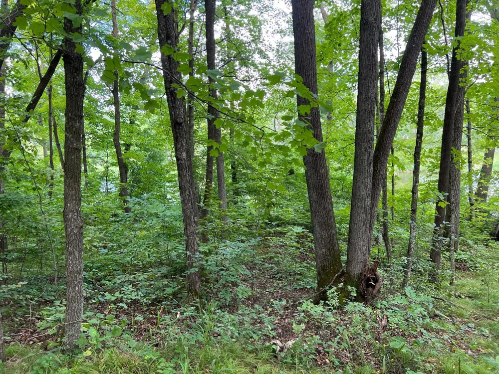 00000 River Island Road Pine City, MN 55063
