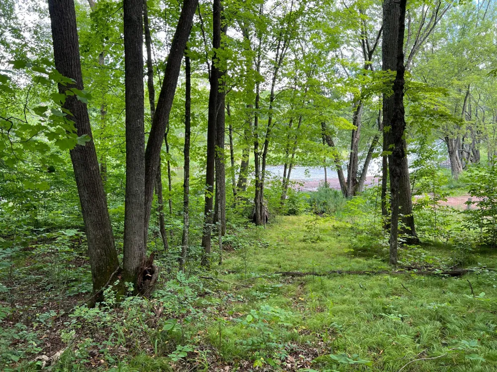 00000 River Island Road Pine City, MN 55063