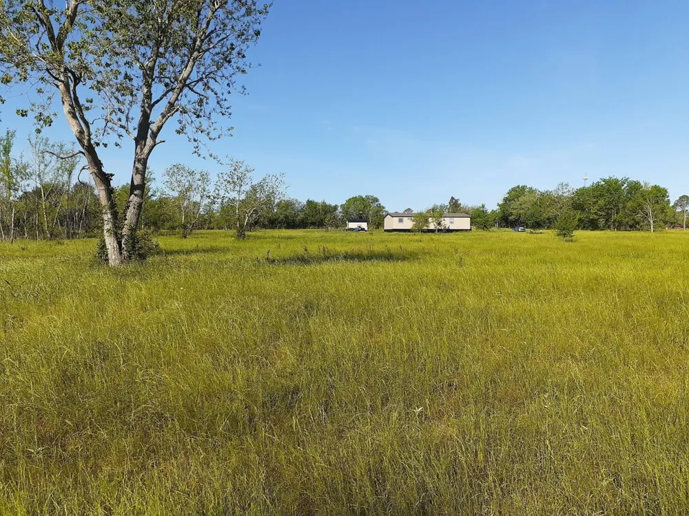 411 Wright Road Kendleton, TX 77435