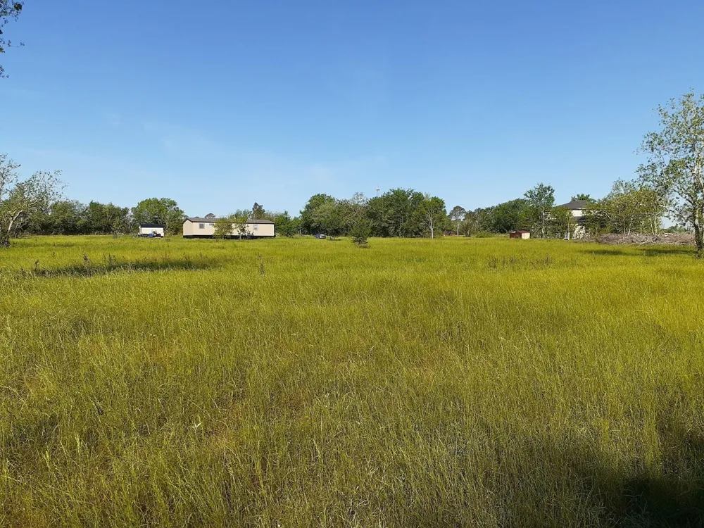 411 Wright Road Kendleton, TX 77435