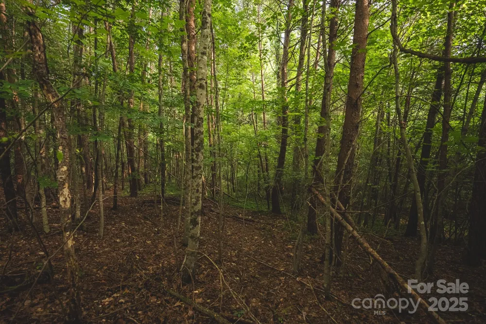 00 Johnson Ridge Road Elkin, NC 28621